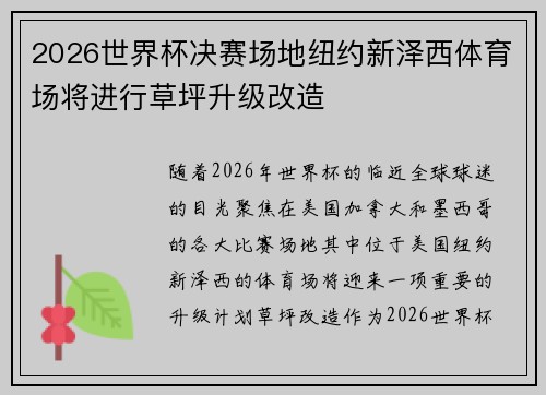 2026世界杯决赛场地纽约新泽西体育场将进行草坪升级改造